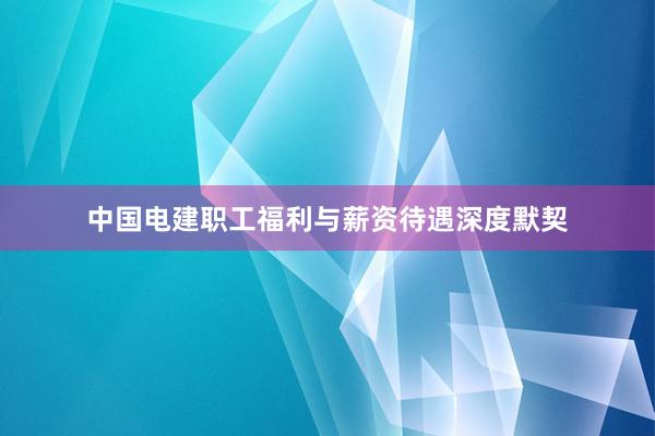 中国电建职工福利与薪资待遇深度默契