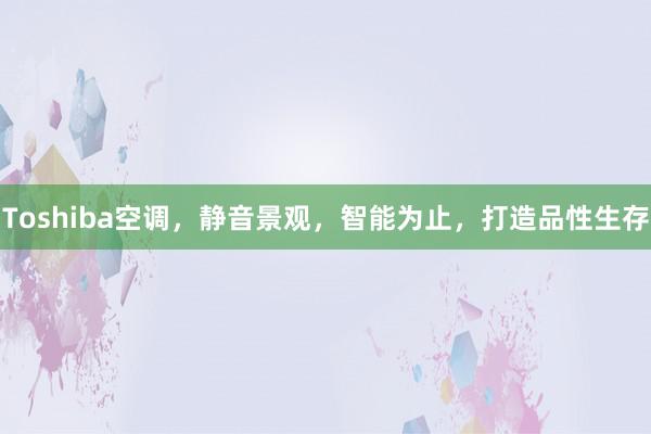 Toshiba空调，静音景观，智能为止，打造品性生存
